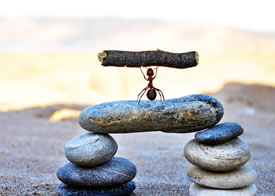 【数卡购商城】一条龙搭建价格